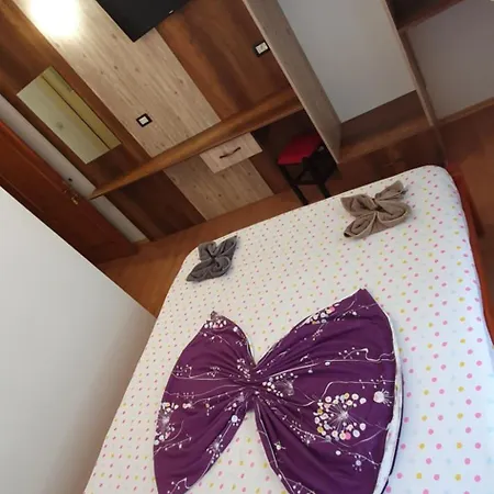 Casa Cinderella 招待所 *